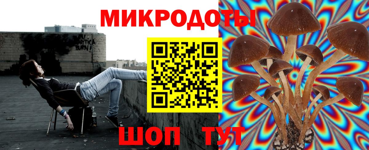 Галлюциногенные грибы мухоморы Лобня